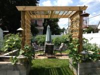 Pergola Example 1