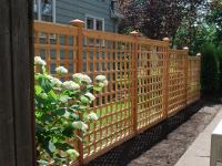 Trellis Example 1